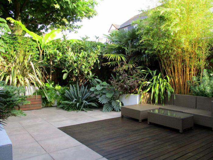 Choosing a tropical garden helps improve air quality