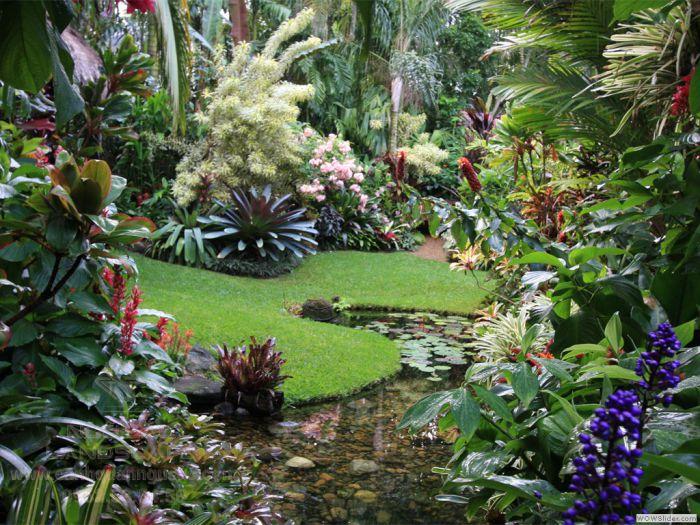 Villa garden in impressive tropical style