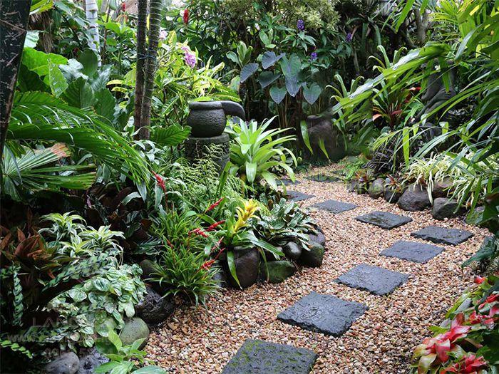 The tropical garden path is paved with bricks and gravel